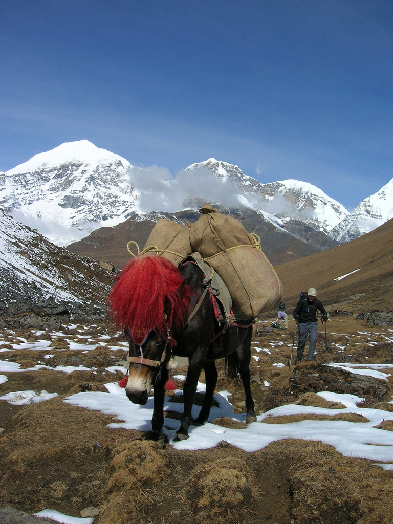 Bhutan - Królestwo Himalajów