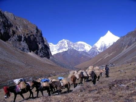 Himalaje Bhutan