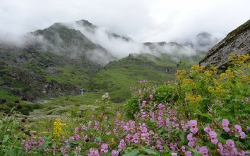valley of flower treking himalaje