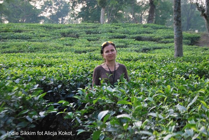 Indie Sikkim Wyprawa 2016 Darjeeling