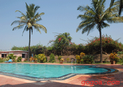 Longuinhos Beach Resort Overview 