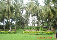 hotels goa