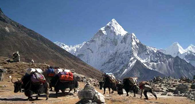 Syangboche_trekking_mt_everest Nepal