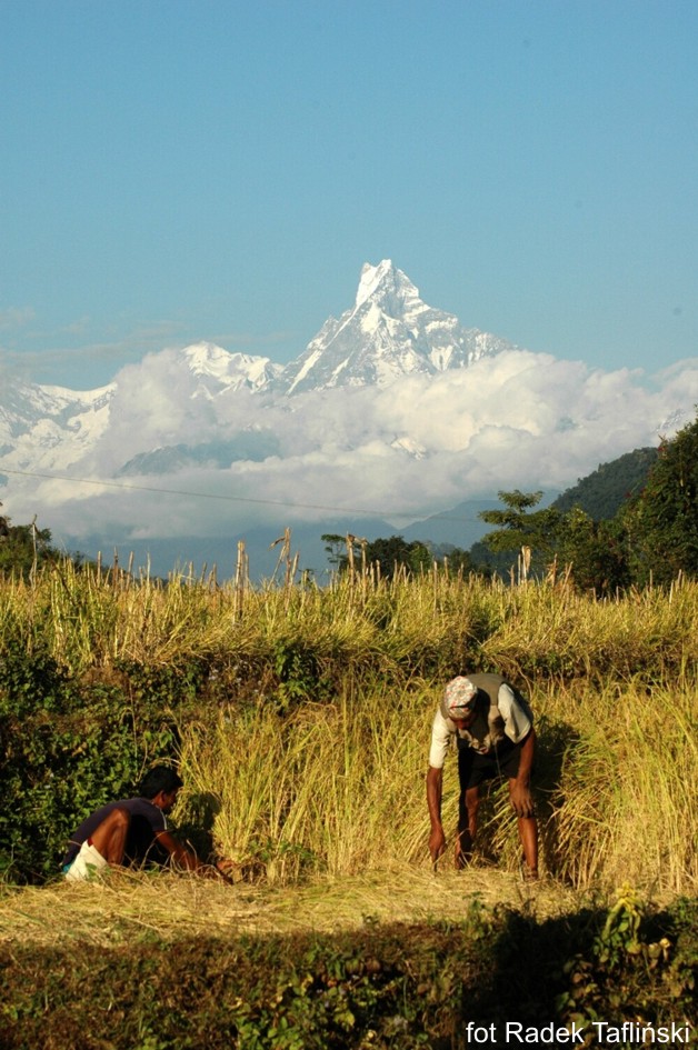 Glob Net wycieczki Nepal