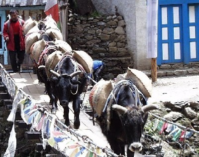 mt_everest_trekking_Namche_Bazaar_wioska Nepal