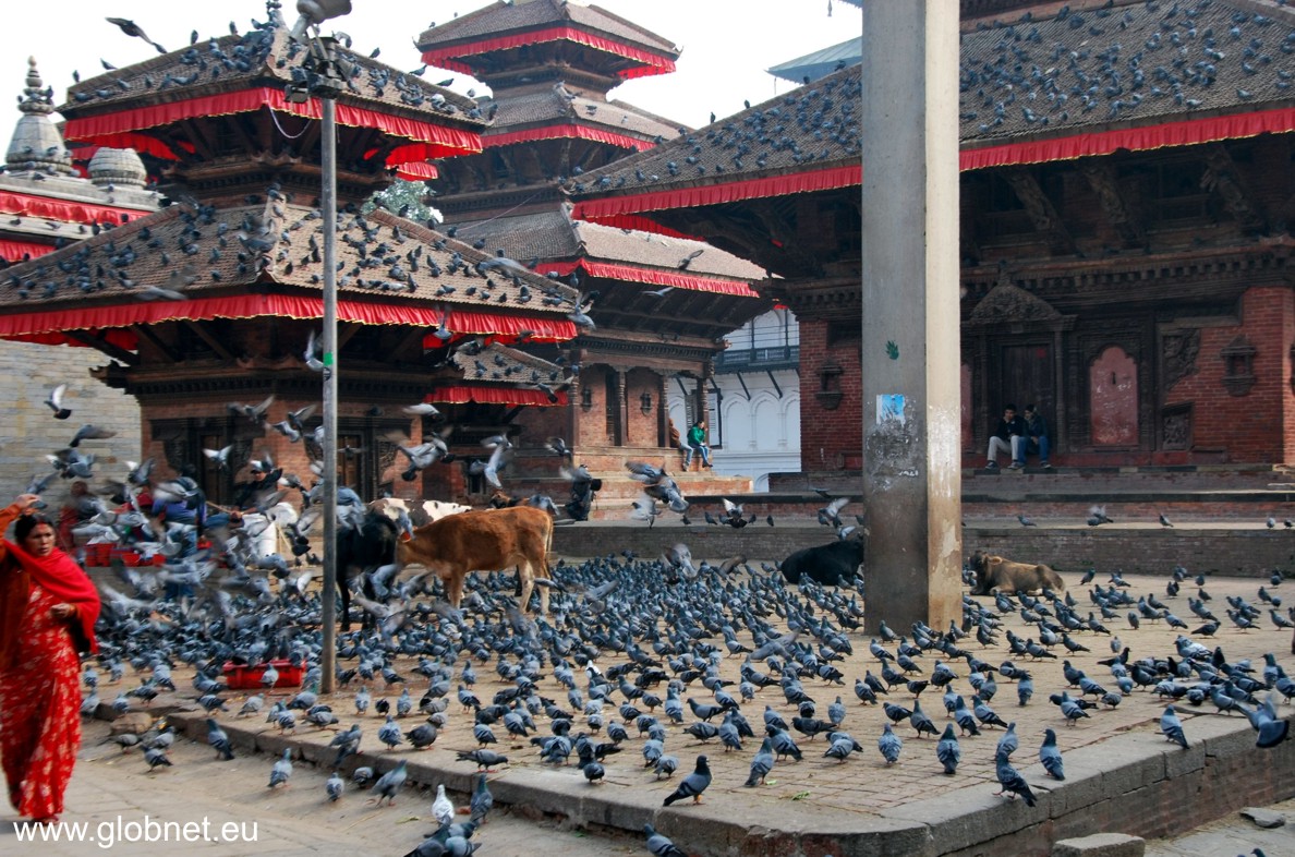 Glob Net wycieczki Nepal