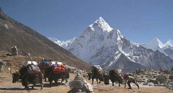 widok_z_Tengboche_himalaje_wyprawy