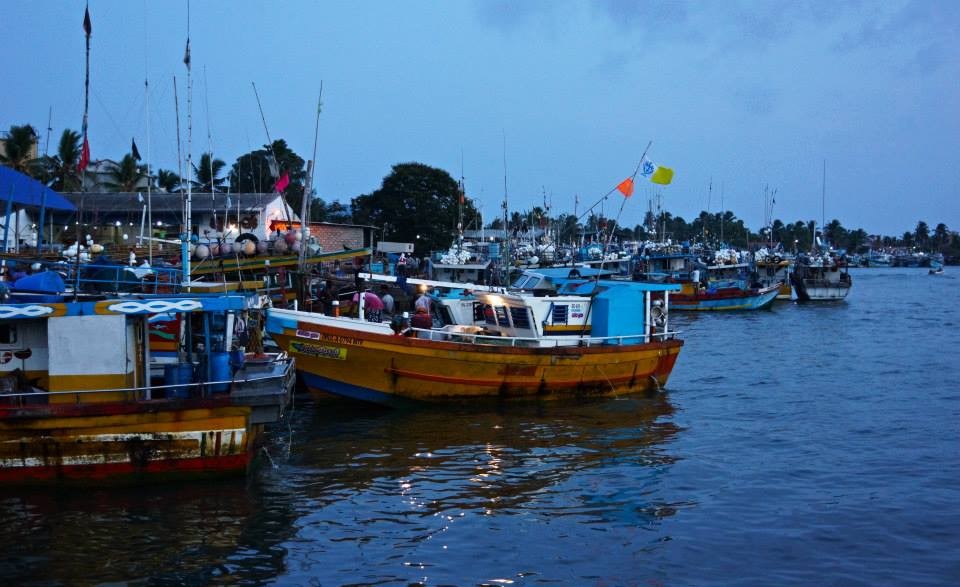 Targ Rybny w Kolombo