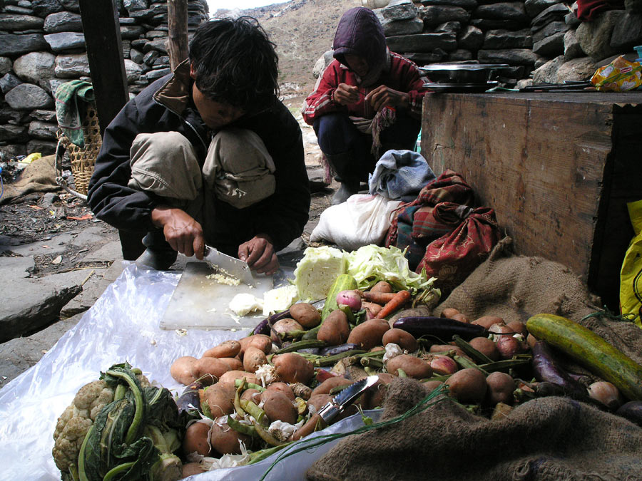 Kanchenjunga Base Camp Trekking