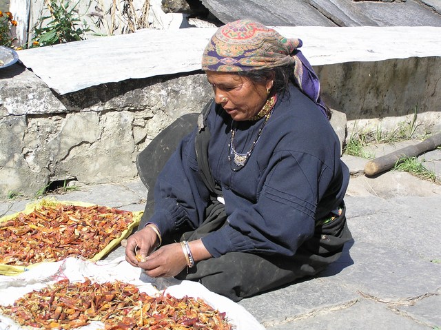 Treking Himalaje Nanda Devi