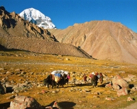 Mt. Kailash i Mansarovar Yatra