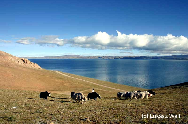 Wyprawa Tybet - Nepal: Lhasa, Yamdrok Tso, Gyantse, Shigatse, Tingri, Zhangmu, Kathamandu 