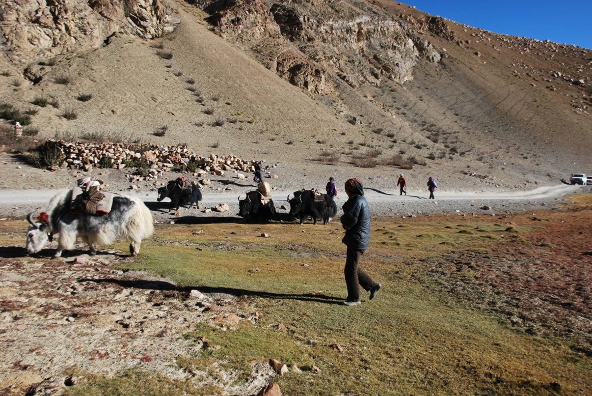 Mt Everest BC wypas Jaków