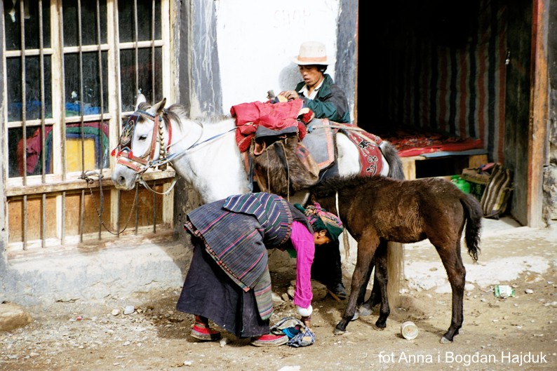 Wyprawa Tybet - Nepal: Lhasa, Yamdrok Tso, Gyantse, Shigatse, Tingri, Zhangmu, Kathamandu 